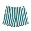 Paraggi Verde Swim Shorts 1 Paraggi Verde Swim Shorts -Family Dressing 2f462b7099ab41f901ce626980f31e17
