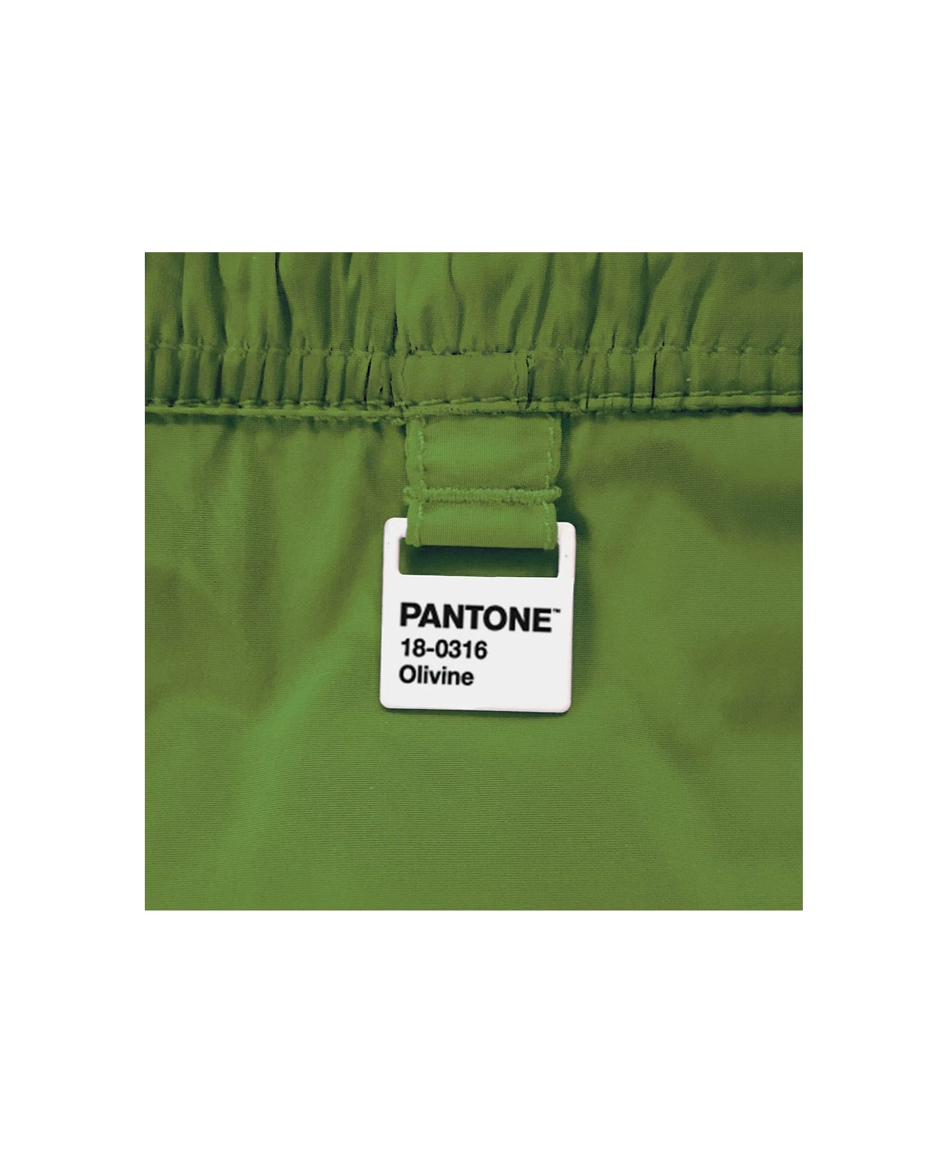MC2 Saint Barth Solid Military Green Light Swim Shorts - Pantone© Special Edition 6 MC2 Saint Barth Solid Military Green Light Swim Shorts - Pantone© Special Edition - Image 4
