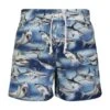 Palm Angels Blue Shark Swim Shorts -Family Dressing a34ed9dad156b8887422e2fcaababbcd