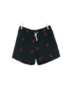 Positano Embroidered Swim Shorts